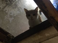 -皮蛋弟砂锅店(总店)