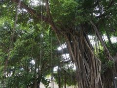 -铁路文化公园