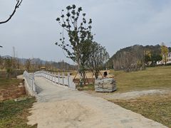 -千年银杏谷文化旅游区