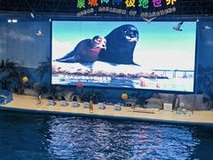 -泉城欧乐堡海洋极地世界