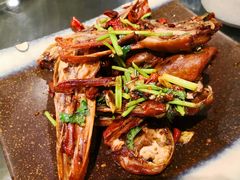 -鱼王府大酒店