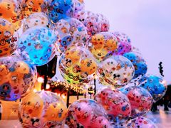 -上海迪士尼度假区