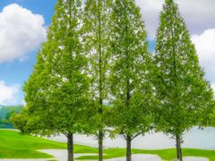 -南京银杏湖乐园