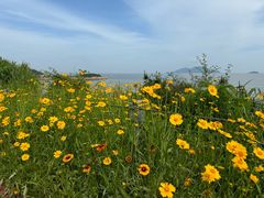 -宁波松兰山滨海旅游度假区