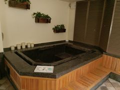 -春晖园度假酒店温泉