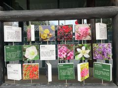 -白鹭湾湿地公园