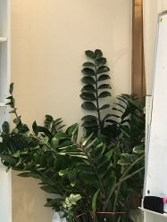 -丽美妍医疗美容·皮秒·立体分层抗衰