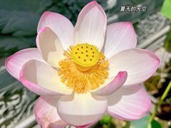 -八大处公园
