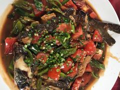 -生态苑农庄(十里画廊遇龙河店)