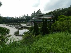 -三水森林公园