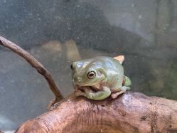 -Zoolung Zoolung动物主题公园(海信广场店)