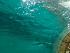 -波塞冬旅游度假区