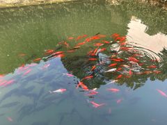 -宁波市保国寺古建筑博物馆