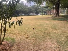 -南宁南湖公园