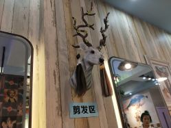 -韩鑫烫染接发·收长头发