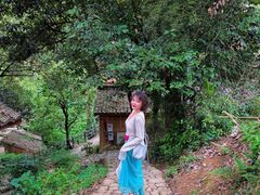 -杨家堂村