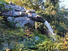 -仙岛湖旅游风景区