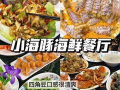 -三亚蜈支洲岛旅游区