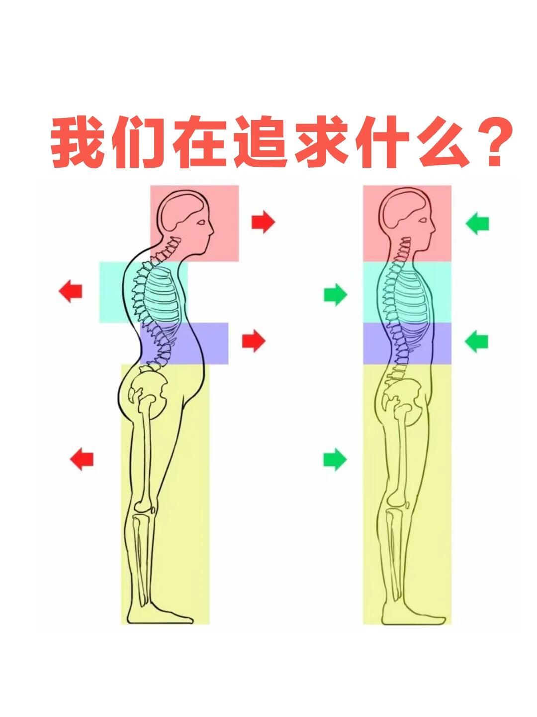 骨关节结构力线正常 30 ,40 ,50 ,60