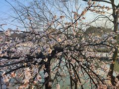 -白塘生态植物园