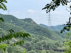 -大岭沟猕猴桃谷风景区