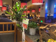 -老阿爸鲜鱼土菜(独墅湖店)