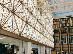 -高新活力汇Vitality