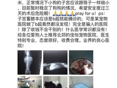 -佳怡动物医院·平价24小时·猫专科骨外科