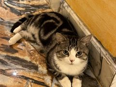 -良子健身(金融街店)