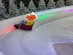 -世界之窗阿尔卑斯冰雪世界