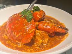 获奖新加坡辣椒青蟹-珍宝海鲜JUMBO Seafood(尚嘉店)