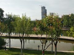 -雁滩公园