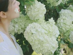 -杭州城北体育公园