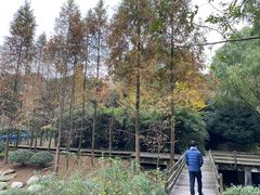 -宝界山林公园