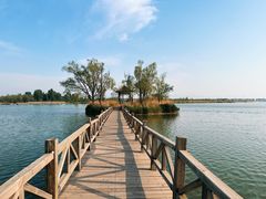 -野鸭湖国家湿地公园