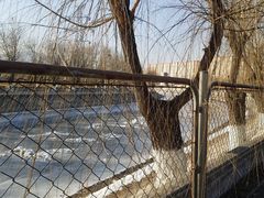 -永定河休闲森林公园