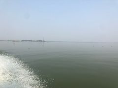 -洪湖生态旅游区