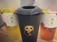 -树夏(建设路店)