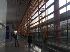 -新加坡航空公司(ION)