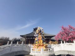 -祥源·阜阳生态乐园