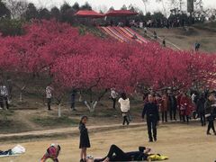 -秀丽东方