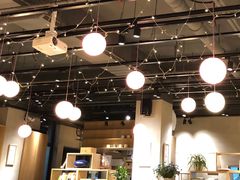 -素虎小呆鸟(西二旗店)