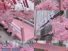 -金茂览秀城