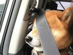 -茉沏(相城天虹店)