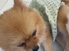 -怪兽屋·羊驼·猫咖·狗咖(俊华广场店)