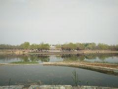 -永定河休闲森林公园