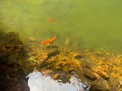 -湖洞水自然风景区