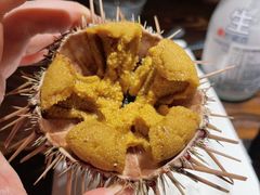 -桂马·日本料理·海胆·海鲜饭·酒场(民主广场店)