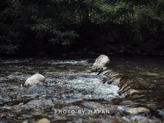 -百里山水画廊