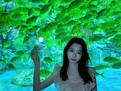 -芜湖新华联大白鲸海洋公园